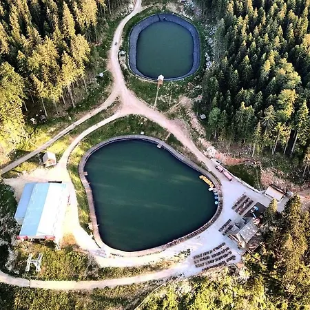 Forest Diary - Boutique - Ravna Planina Gornje Pale